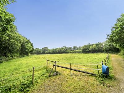 Picture 41